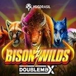 Bison Wilds